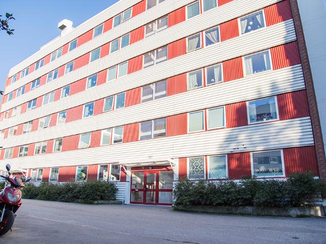 Hus hyra i Piteå, Norrbottens län