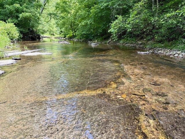 Farm for sale in Westpoint, Middle Tennessee