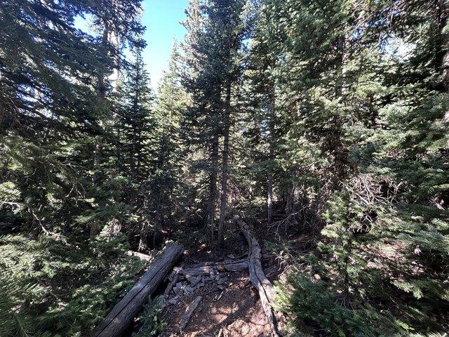 Land for sale in Brian Head, Utah