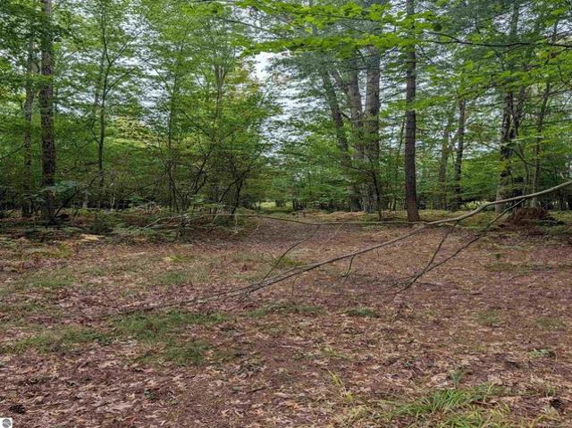 Land for sale in Omer, Arenac County