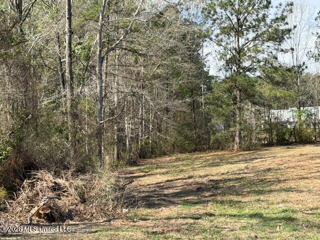 Land for sale in Poplarville, Mississippi