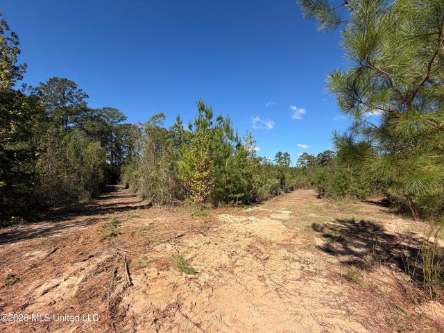 Land for sale in Brookhaven, Lincoln County