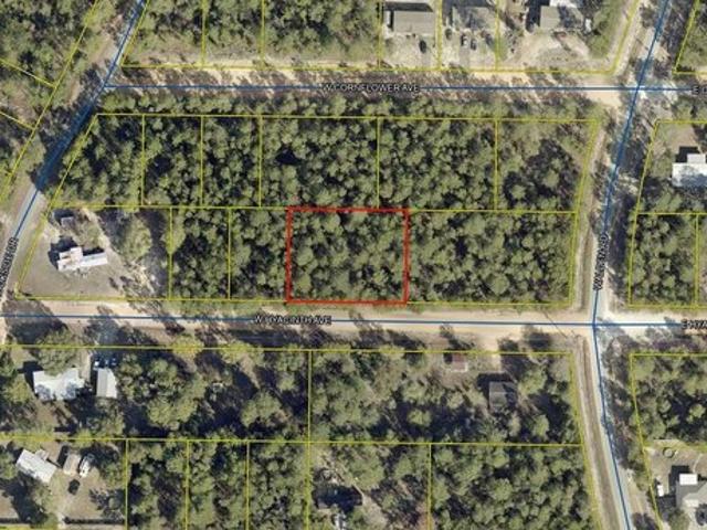 Land for sale in Walton, Florida