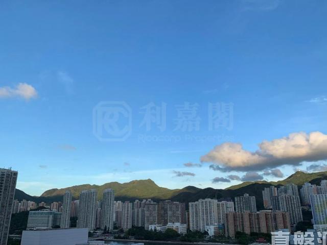 提供 出租 的 公寓