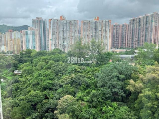 提供 出售 的 公寓