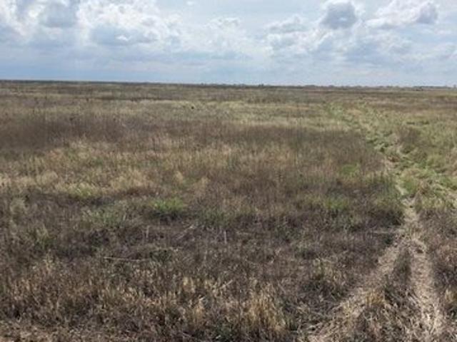 Land for sale in Wildorado, Texas