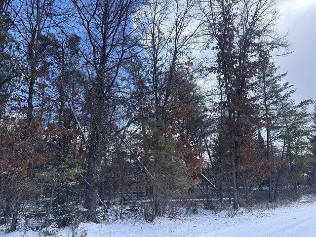 Land for sale in Mio, Michigan