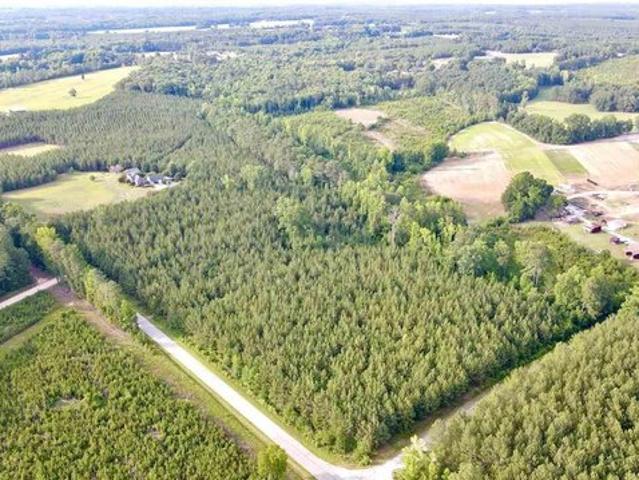 Land for sale in Chesterfield, South Carolina
