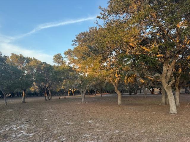 Land for sale in San Patricio, Texas
