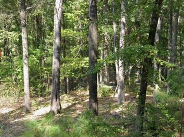 Land for sale in Pine Bluff, Jefferson County