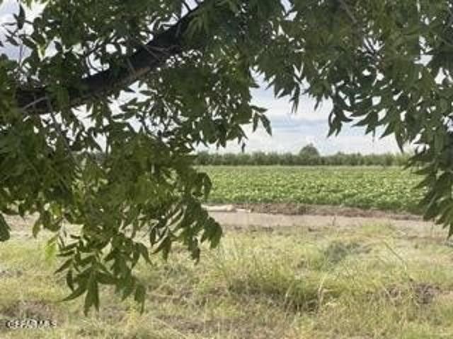 Farm for sale in Dona Ana, New Mexico