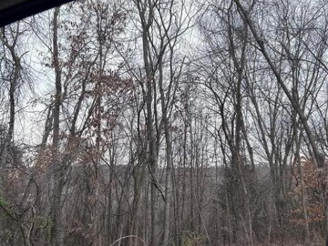 Land for sale in Steelville Land for sale in Steelville