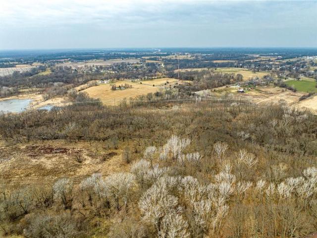 Land for sale in Clinton, Henry County