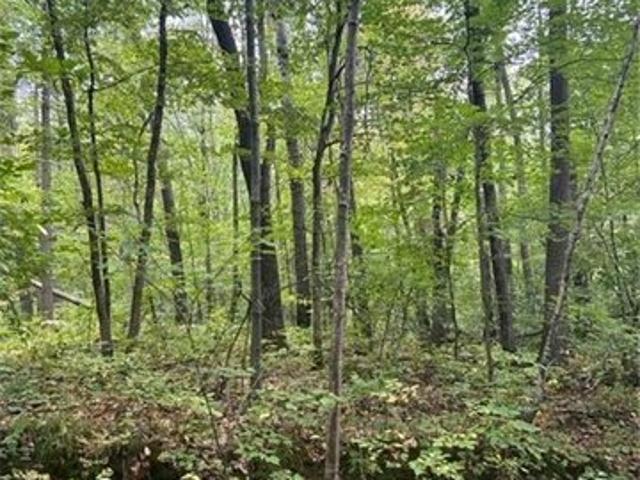 Land for sale in Morrison, Minnesota