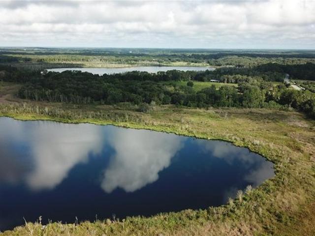 Land for sale in Umatilla, Lake County