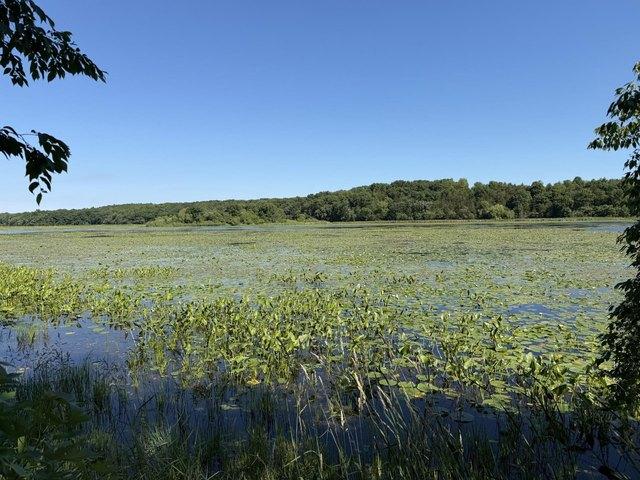 Land for sale in Elkhorn, Wisconsin