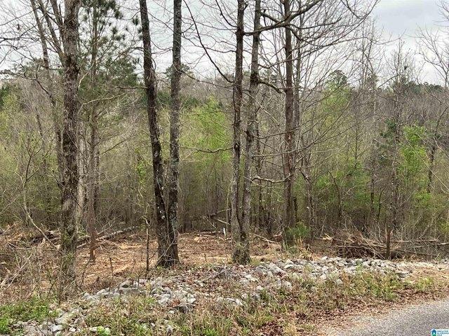 Land for sale in Blount, Alabama
