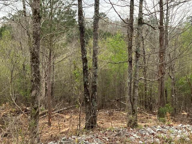 Land for sale in Blount, Alabama