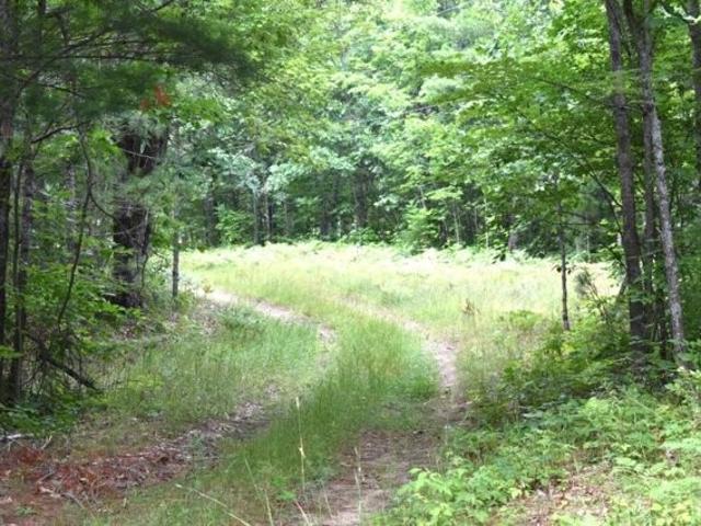 Land for sale in Barton City Land for sale in Barton City