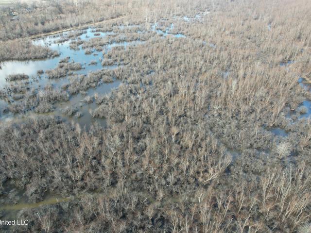 Land for sale in Coahoma, Mississippi