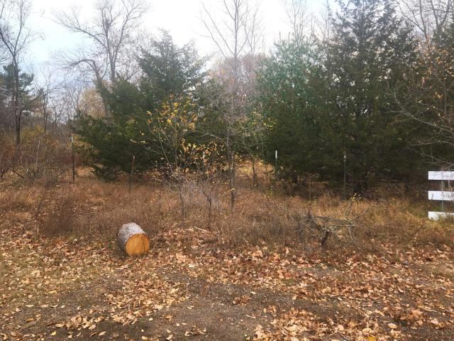 Land for sale in Chetek, Wisconsin