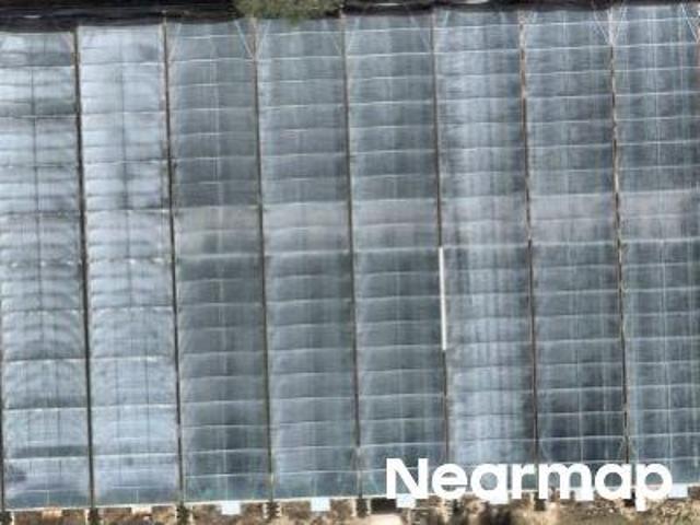 Land for sale in Apopka, Florida