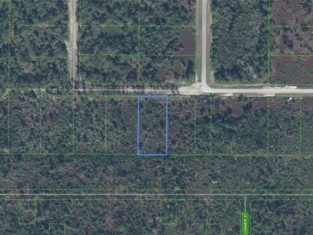 Land for sale in Avon Park, Florida
