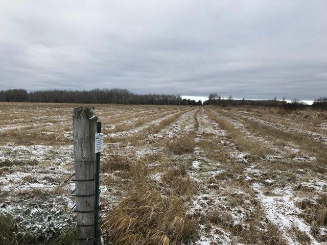 Land for sale in Rudyard, Michigan