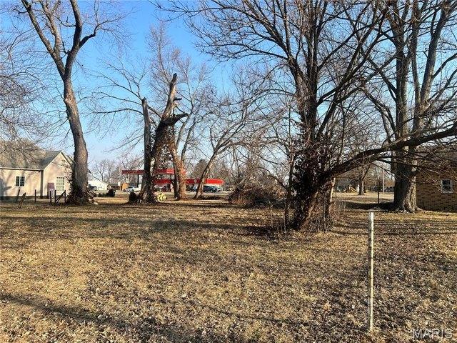Land for sale in Coffeen, Illinois