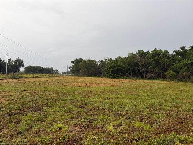Land for sale in Bowling Green, Florida