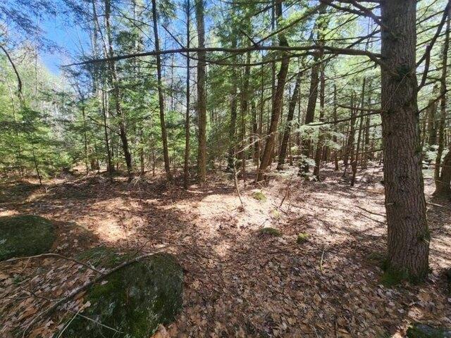 Land for sale in New Hampshire