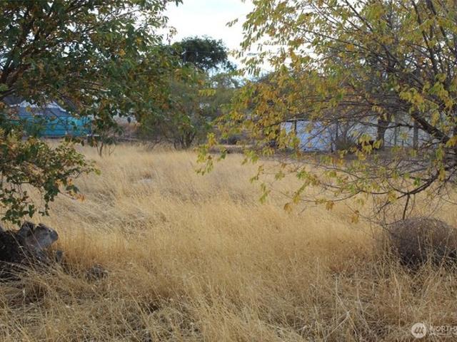 Land for sale in Lind, Adams County