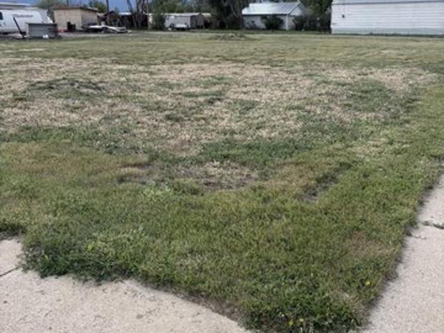 Land for sale in Petroleum, Montana