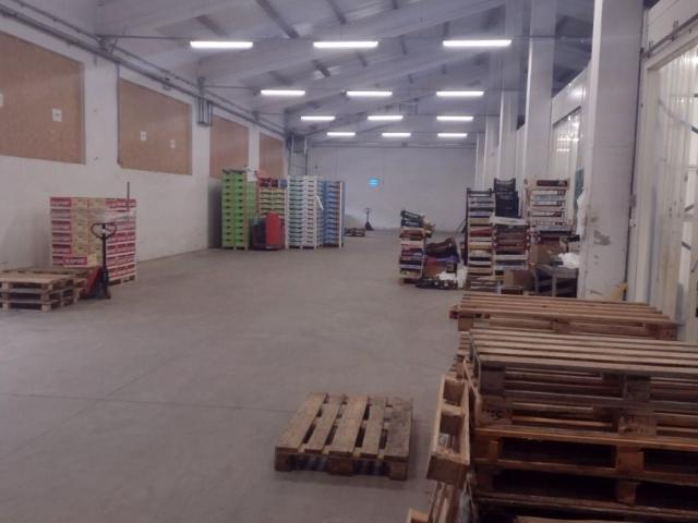 Mieszkanie do wynajęcia w Głogów Małopolski, Podkarpackie