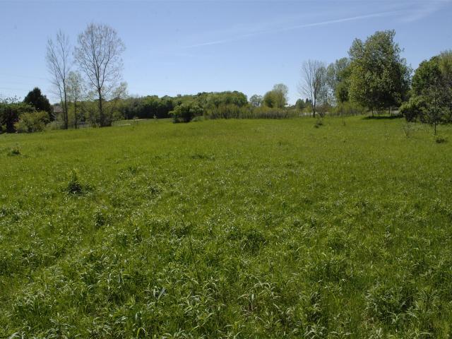 Land for sale in Michigan
