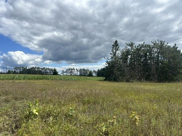 Land for sale in Gaylord, Michigan