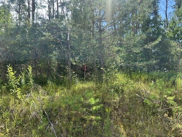 Land for sale in Gaylord, Michigan
