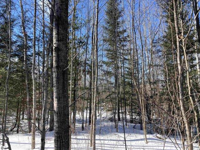 Land for sale in Mio, Michigan