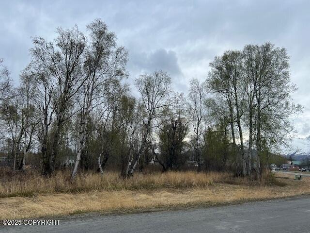 Land for sale in Palmer