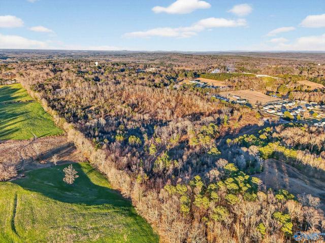 Land for sale in Danville, Alabama