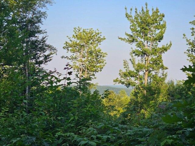 Land for sale in Temple, Maine