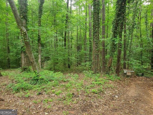 Land for sale in Monticello, Georgia