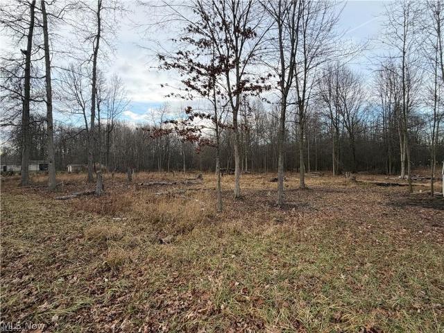 Land for sale in Sebring, Ohio