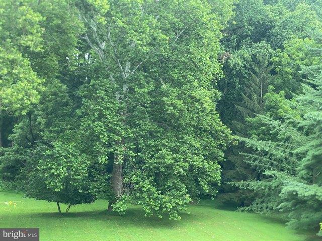 Land for sale in Delaware