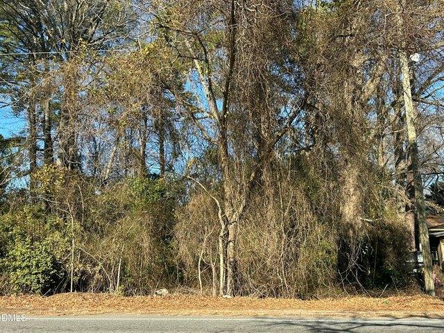 Land for sale in Bunnlevel, North Carolina