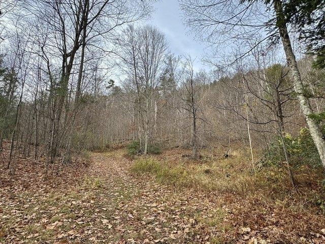 Land for sale in Charlemont, Massachusetts