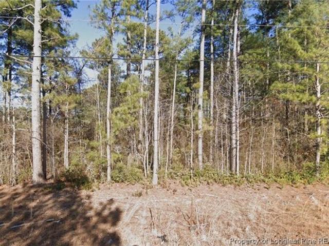 Land for sale in Parkton, North Carolina