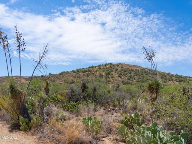 Land for sale in Oracle, Arizona
