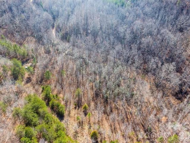 Land for sale in Rutherford, North Carolina