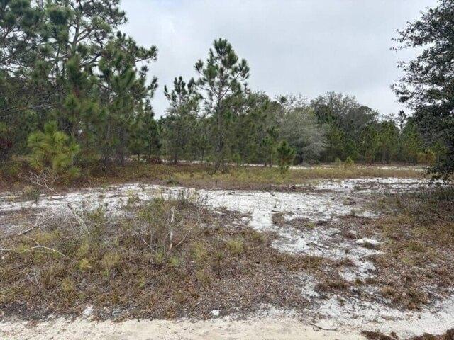 Land for sale in Avon Park, Florida